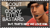 Another scout stamp